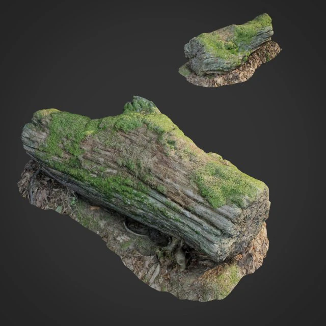 3d scanned nature forest stuff 001 3D Model .c4d .max .obj .3ds .fbx .stl .blend 