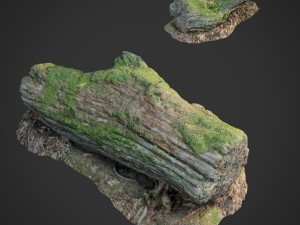 3d scanned nature forest stuff 001 3D Model