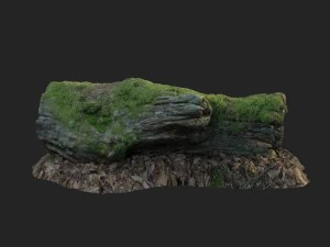 3d scanned nature forest stuff 001 3D Model