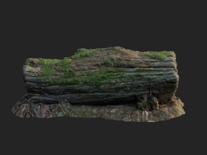 3d scanned nature forest stuff 001 3D Model