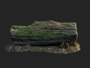 3d scanned nature forest stuff 001 3D Model