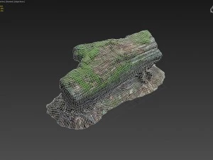 3d scanned nature forest stuff 001 3D Model