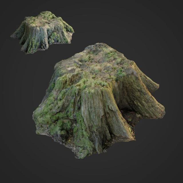 3d scanned nature tree stump 006 3D Model .c4d .max .obj .3ds .fbx .stl .blend 