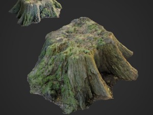 3d scanned nature tree stump 006 3D-Modell