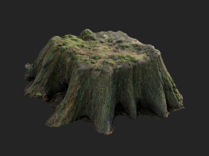 3d scanned nature tree stump 006 3D मॉडल