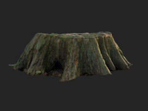 3d scanned nature tree stump 006 3D मॉडल