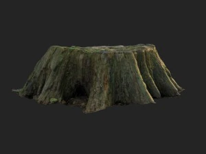 3d scanned nature tree stump 006 3D Model