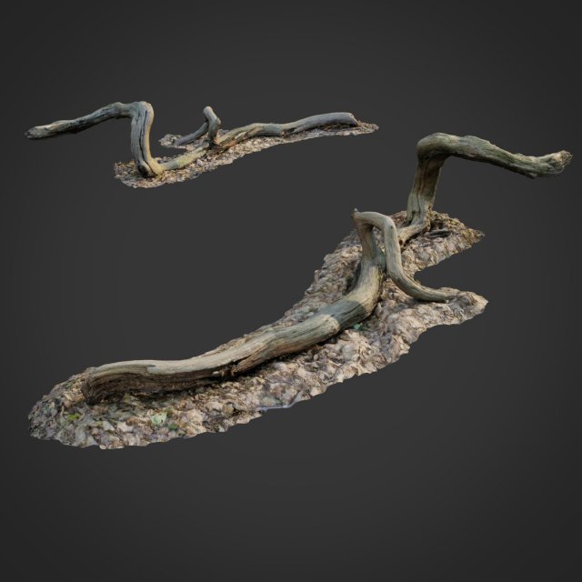 3d scanned nature forest stuff 002 3D Модель .c4d .max .obj .3ds .fbx .stl .blend 