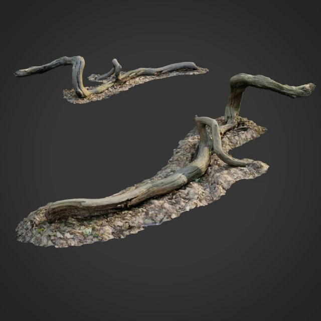 3d scanned nature forest stuff 002 3D Model .c4d .max .obj .3ds .fbx .stl .blend 