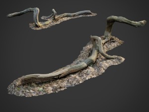 3d scanned nature forest stuff 002 3D Model