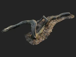 3d scanned nature forest stuff 002 3D Model