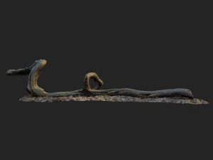 3d scanned nature forest stuff 002 3D Model