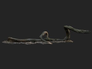 3d scanned nature forest stuff 002 3D Модель
