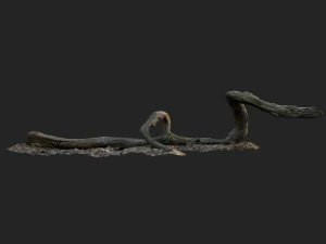 3d scanned nature forest stuff 002 3D Model