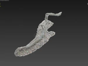 3d scanned nature forest stuff 002 3D Model
