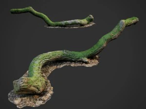 3D-gescande natuur bos spullen 003 3D Model