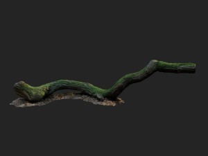 3d scanned nature forest stuff 003 3Dモデル