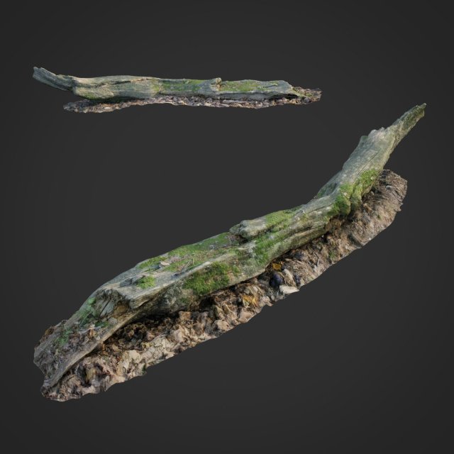 3d scanned nature forest stuff 004 Modelo 3D .c4d .max .obj .3ds .fbx .stl .blend 