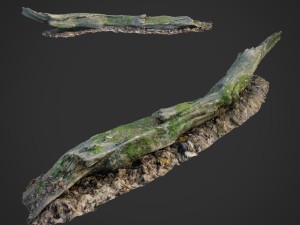 3d scanned nature forest stuff 004 3D Model