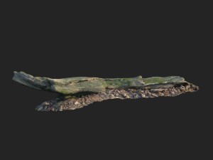 3d scanned nature forest stuff 004 Modelo 3D