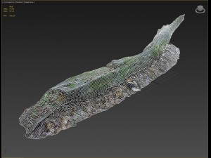3d scanned nature forest stuff 004 Modelo 3D