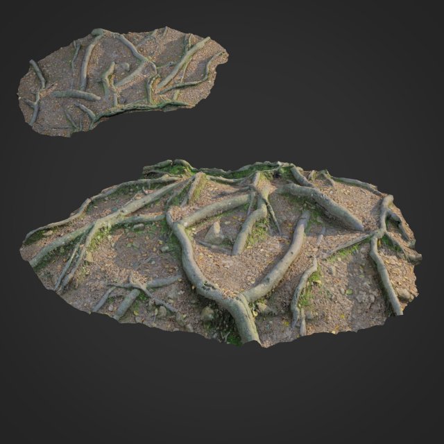3d scanned nature forest roots 010 Modelo 3D .c4d .max .obj .3ds .fbx .stl .blend 