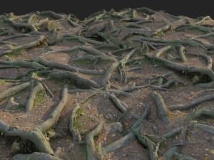 3d scanned nature forest roots 010 Modelo 3D