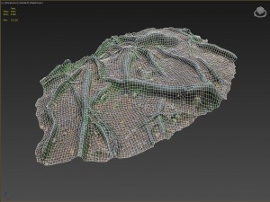 3d scanned nature forest roots 010 Modelo 3D