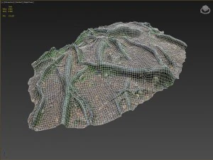 3d scanned nature forest roots 010 3D Model