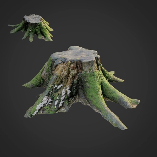 3d scanned nature tree stump 007 3D Model .c4d .max .obj .3ds .fbx .stl .blend 