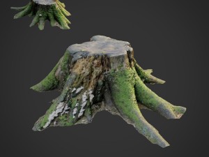 3d scanned nature tree stump 007 3D-Modell