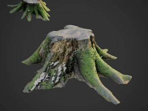 3D-gescande natuurboomstronk 007 3D Model