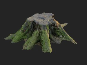 3d scanned nature tree stump 007 3D Model