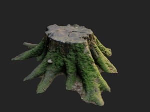 3d scanned nature tree stump 007 Modello 3D