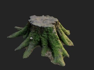3d scanned nature tree stump 007 3D Model