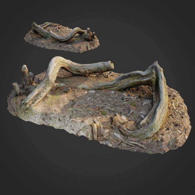 3d scanned nature forest stuff 005 Model 3D .c4d .max .obj .3ds .fbx .stl .blend 