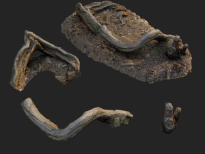 3d scanned nature forest stuff 005 Model 3D