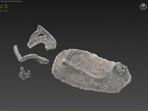 3d scanned nature forest stuff 005 Model 3D