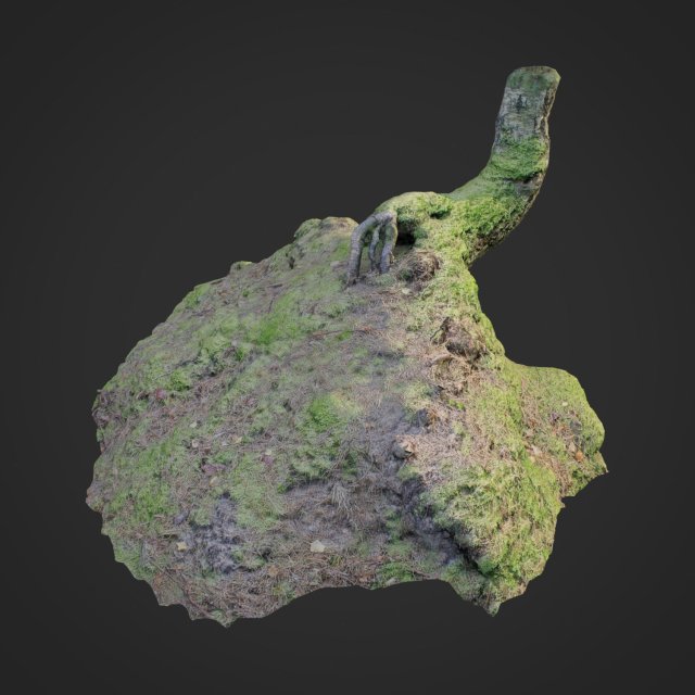 3d scanned nature forest stuff 006 3D Модель .c4d .max .obj .3ds .fbx .stl .blend 