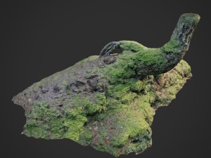 3d scanned nature forest stuff 006 3D Модель