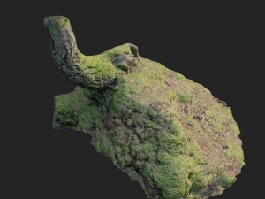 3d scanned nature forest stuff 006 3D Модель