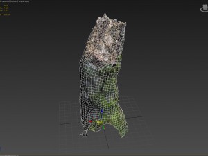 3d scanned nature forest stuff 007 Modelo 3D
