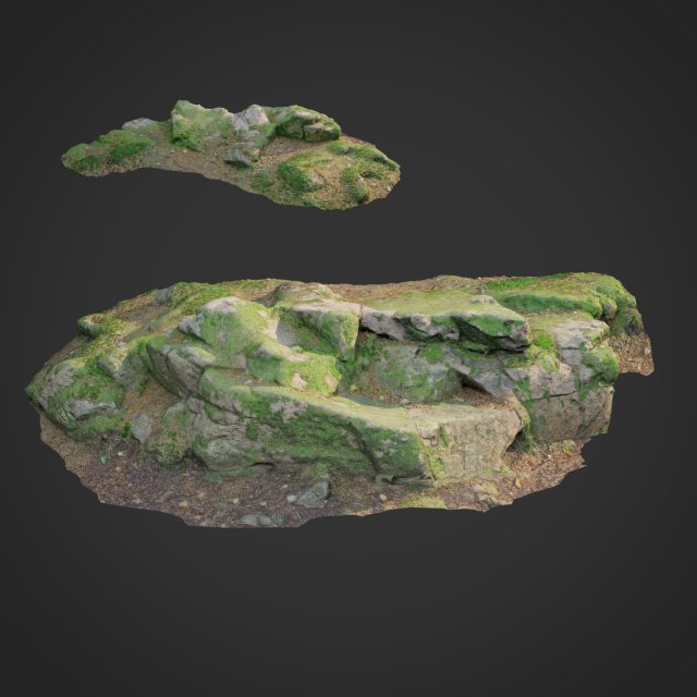 3d scanned nature forest stuff 008 3D Model .c4d .max .obj .3ds .fbx .stl .blend 