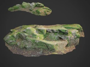 Materiale della foresta naturale scansionata in 3D 008 Modello 3D
