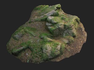 3d scanned nature forest stuff 008 3D Model