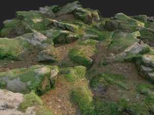 3d scanned nature forest stuff 008 3D Model