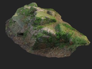 3d scanned nature forest stuff 008 3D Model