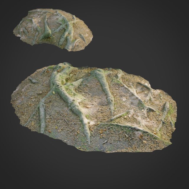 3d scanned nature forest roots 011 Model 3D .c4d .max .obj .3ds .fbx .stl .blend 