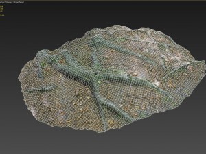 3d scanned nature forest roots 011 Model 3D