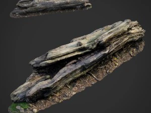 Materiale forestale naturale scansionato in 3D 009 Modello 3D
